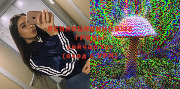 PSILOCYBIN Верхнеуральск