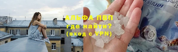 apvp Верея