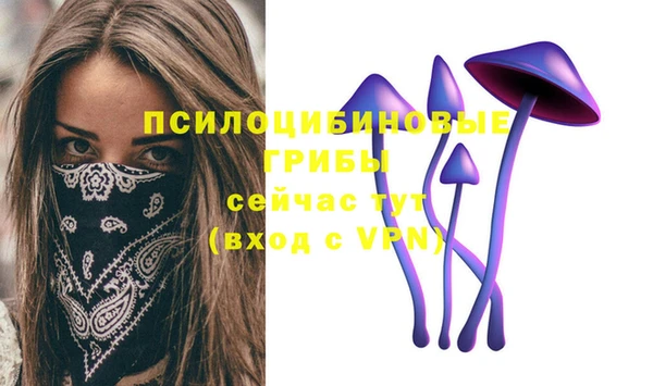 гашик Бугульма