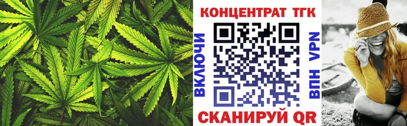 shop как зайти  Медногорск  ТГК концентрат 
